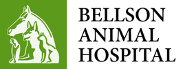 Bellson Animal Hospital
